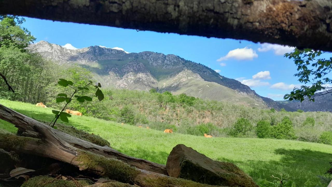 Hotel Rural El Secreto De Julia Ríoseco Zewnętrze zdjęcie