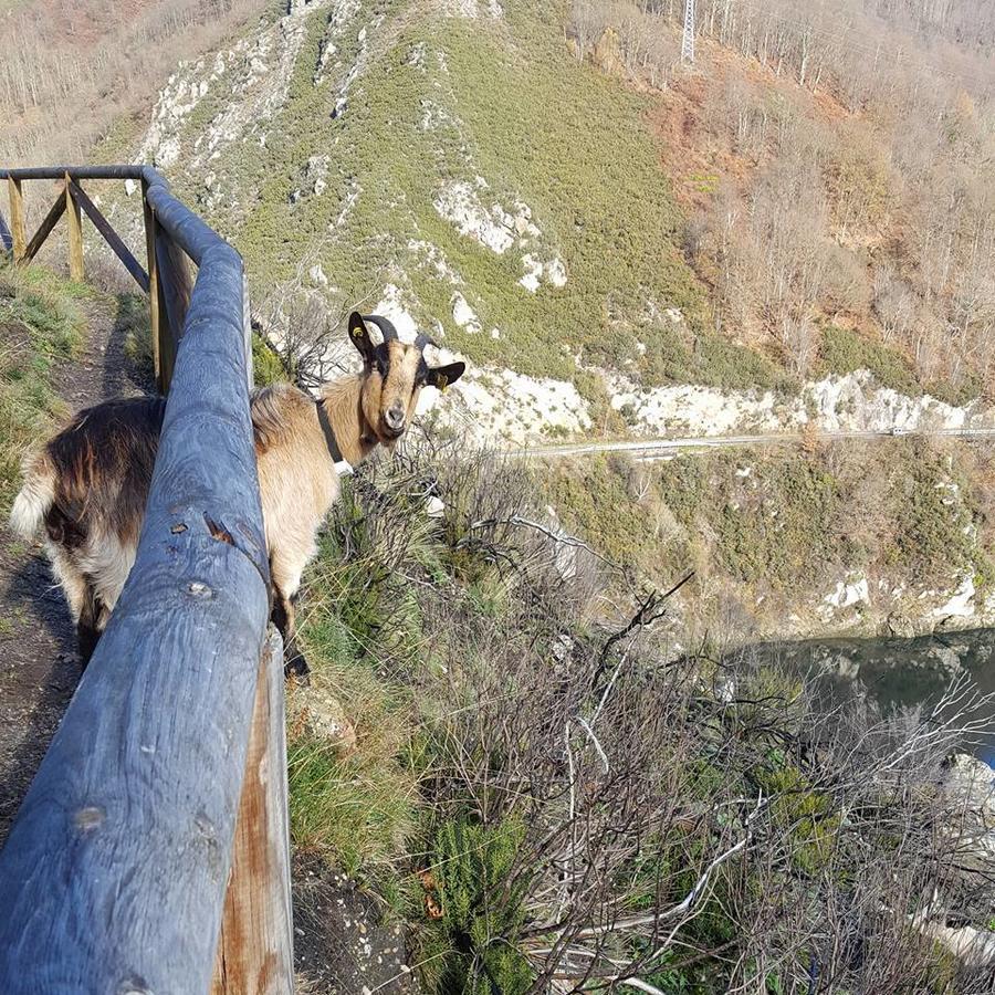 Hotel Rural El Secreto De Julia Ríoseco Zewnętrze zdjęcie