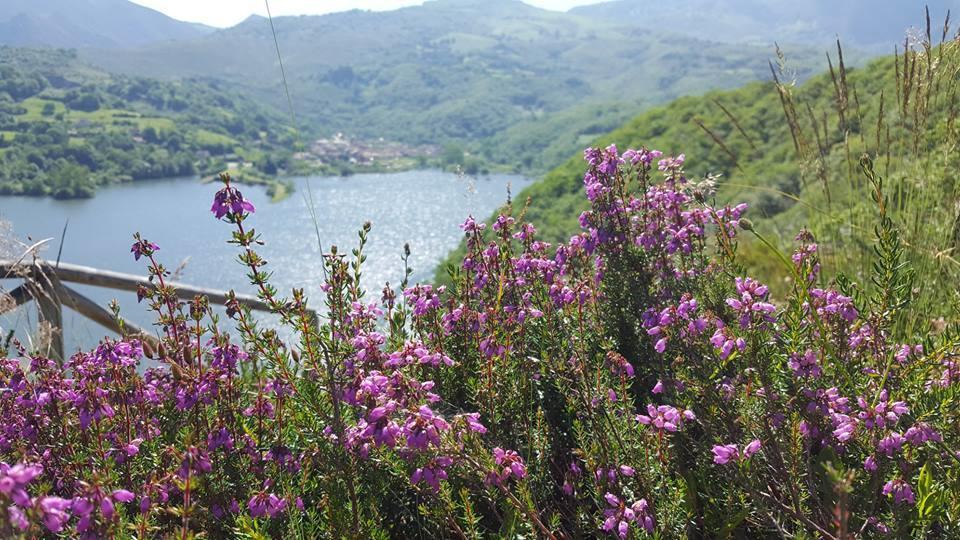 Hotel Rural El Secreto De Julia Ríoseco Zewnętrze zdjęcie